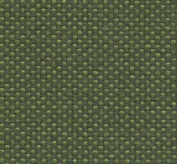 Maya-9703.jpg
